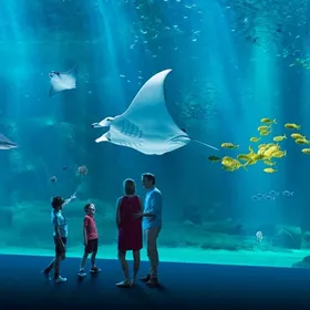 Das große Becken von Nausicaá, mit einem Mantarochen über den Besuchern