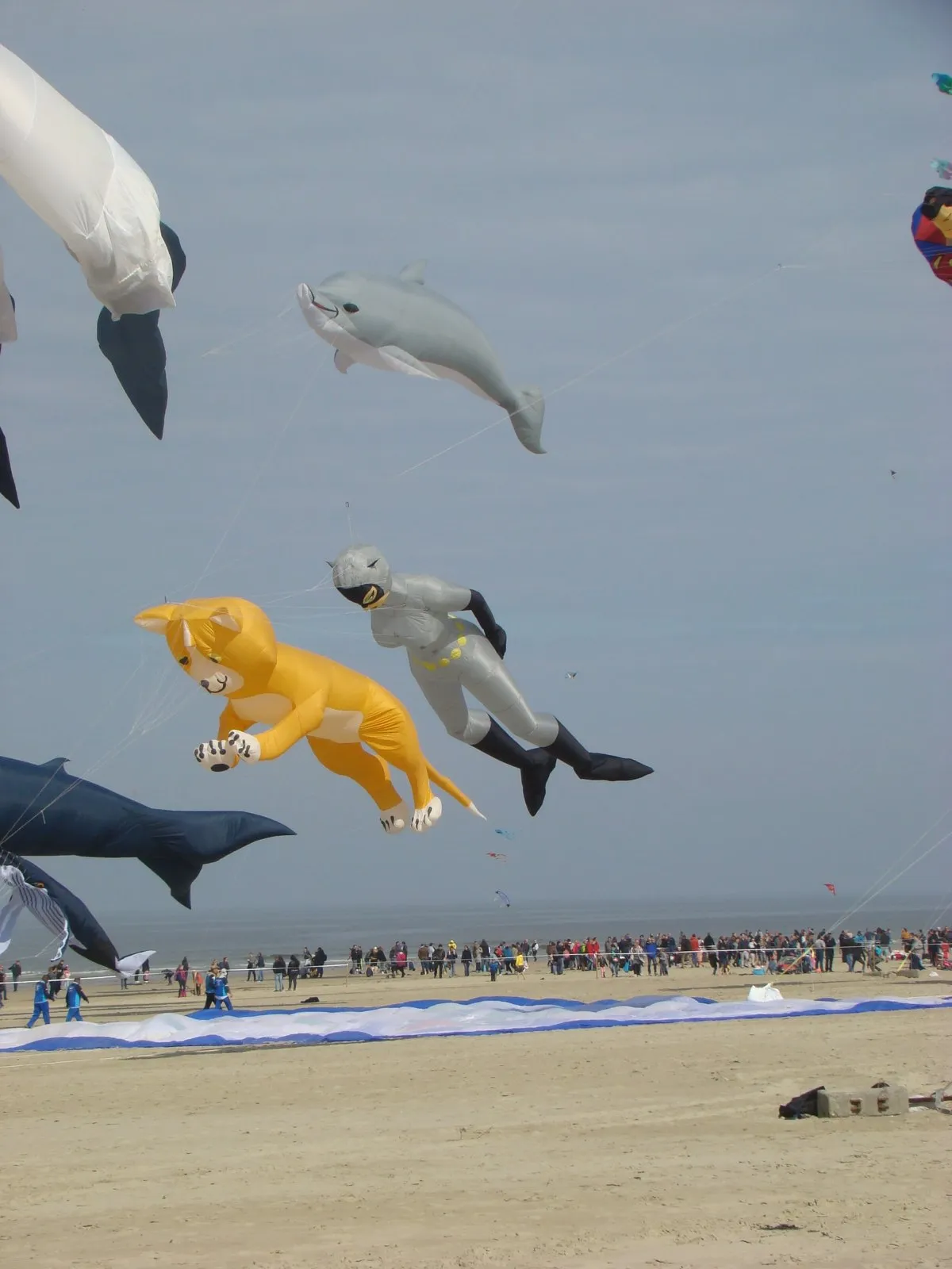 Riesendrachen in Tierform über dem Strand