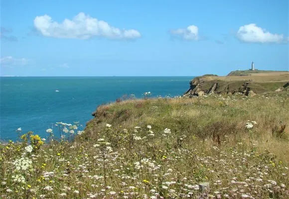 De Cap Gris-Nez, met zijn bloemenweiden en de vuurtoren in de verte