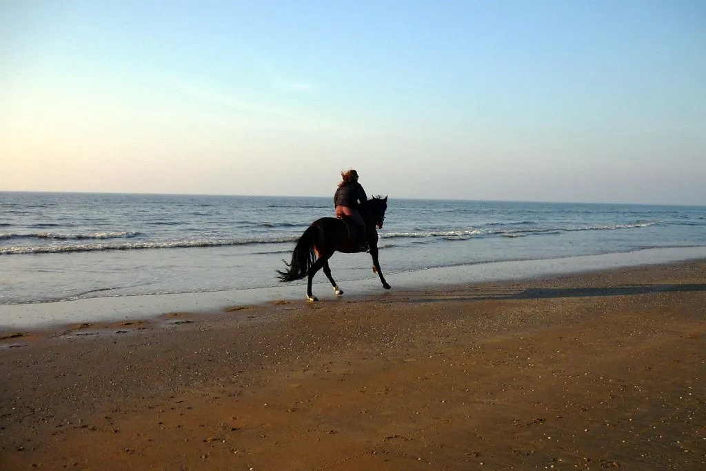 Un cavalier sur le sable au coucher du soleil