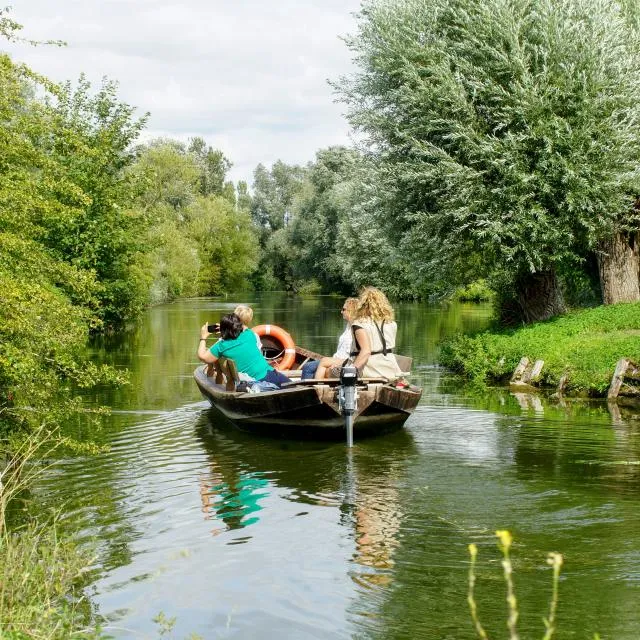 Une barque électrique sur un canal du marais audomarois, entre les saules