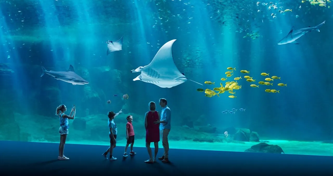 Das große Becken von Nausicaá mit einem Mantarochen über den Besuchern