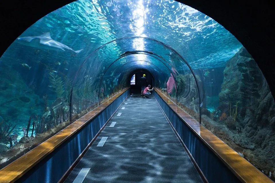 Der Unterwassertunnel von Nausicaá