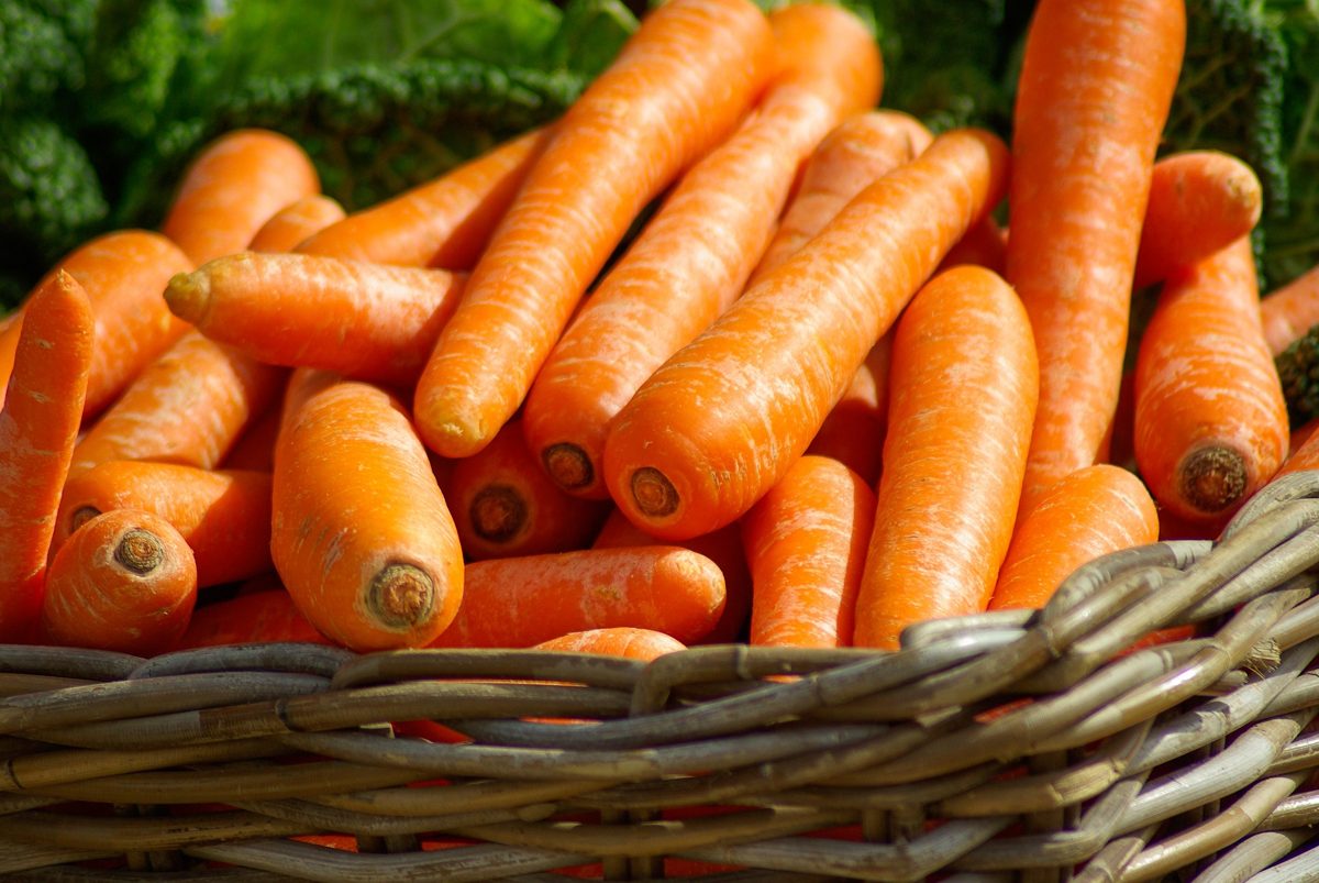 carrots from tilques